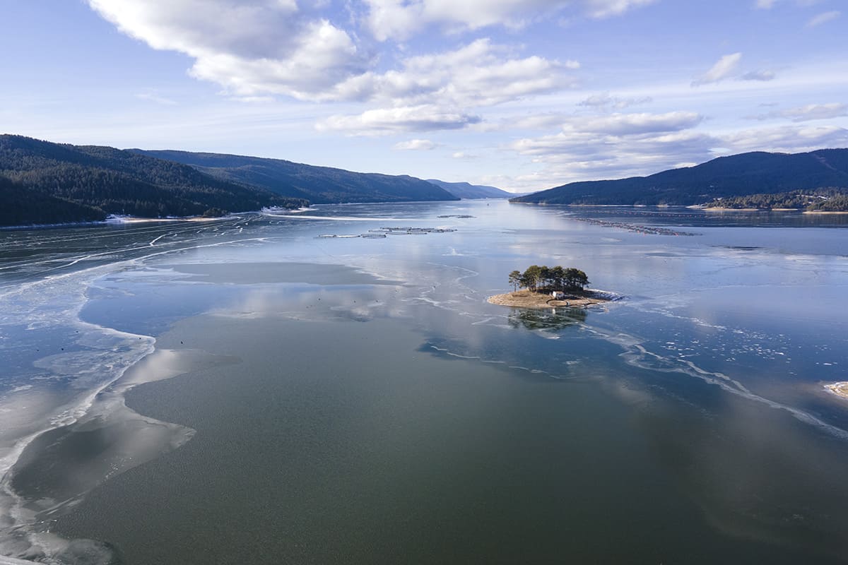 Бактериородопсин как стабильная альтернатива ретиноидам