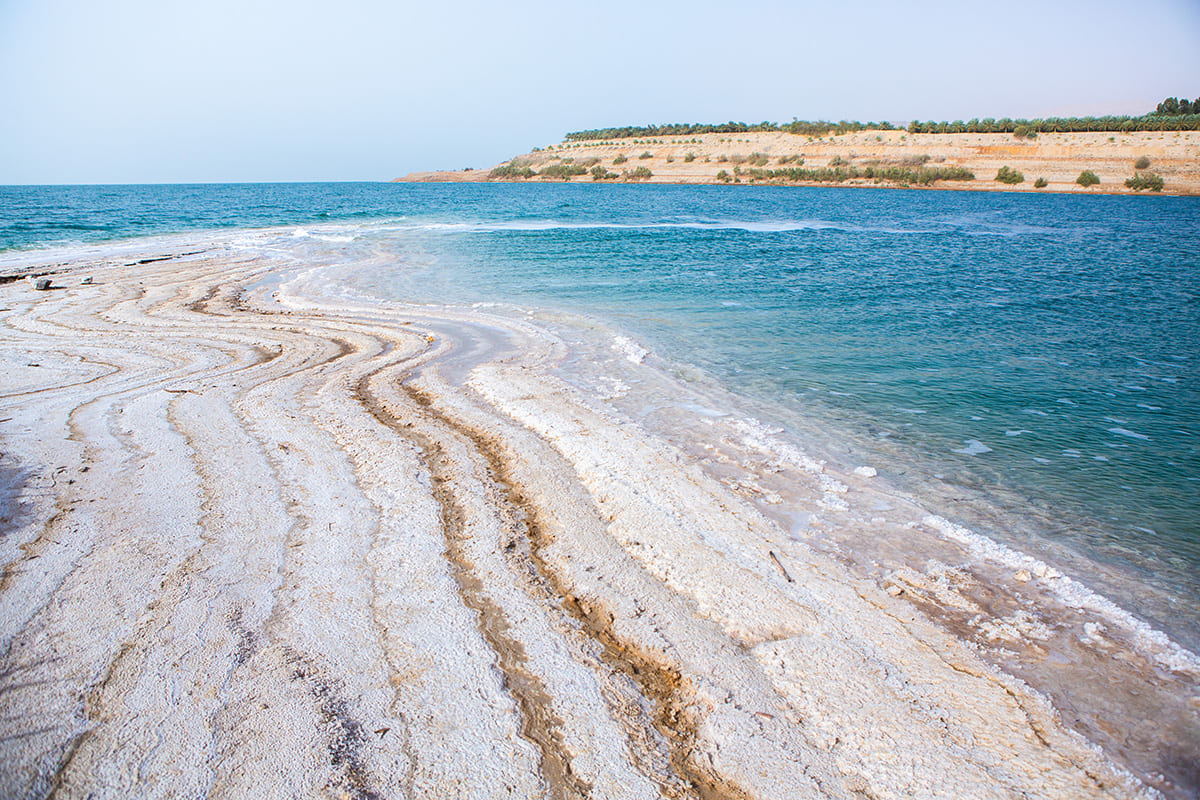 Бактериородопсин как стабильная альтернатива ретиноидам