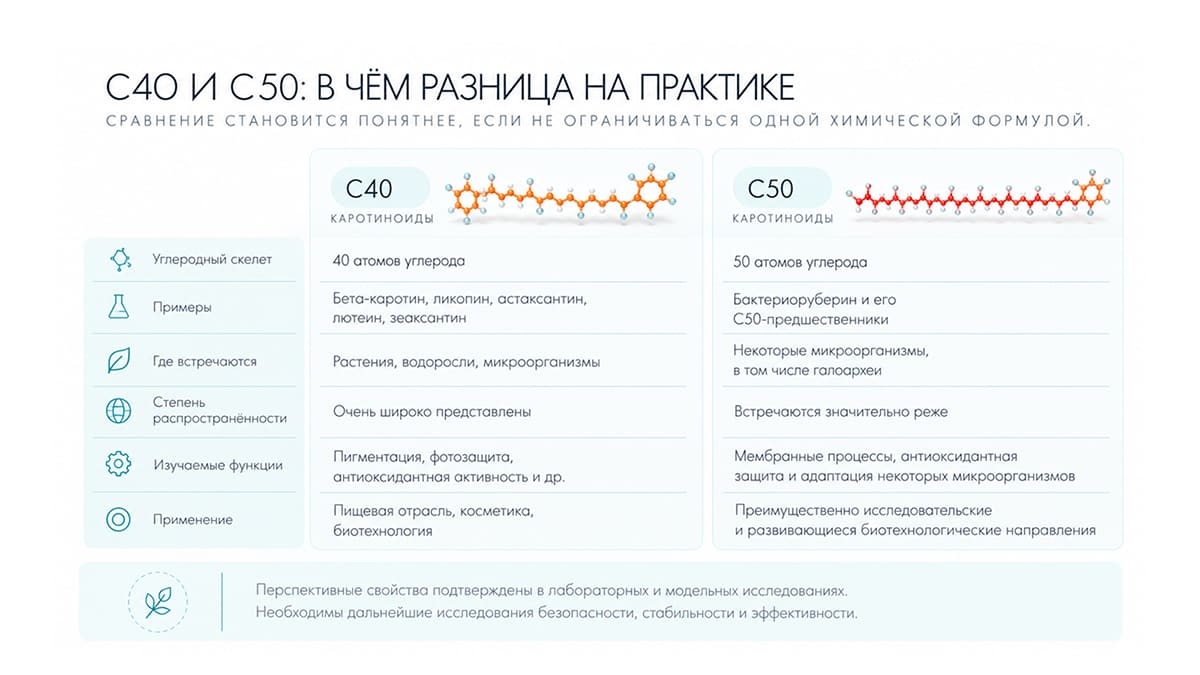 Бактериоруберин и другие каротиноиды: чем C50-каротиноиды отличаются от C40