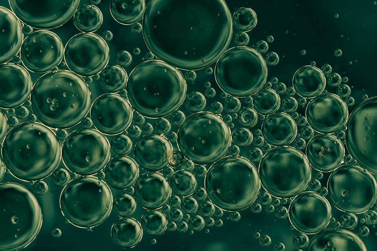 Каротиноиды из галобактерий как природные УФ-фильтры