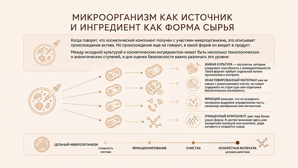 Компоненты из галоархей в косметике: что важно знать о безопасности