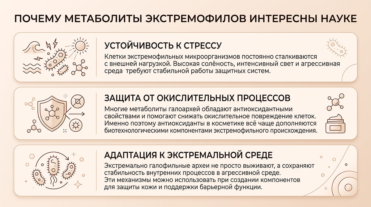 Метаболиты экстремально галофильных архей: какие активные компоненты получают и где их применяют
