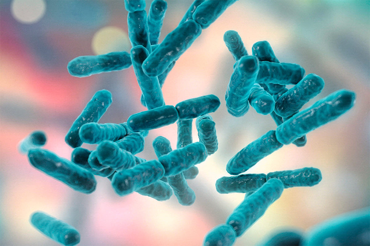 От фотона к градиенту: механика работы бактериородопсина