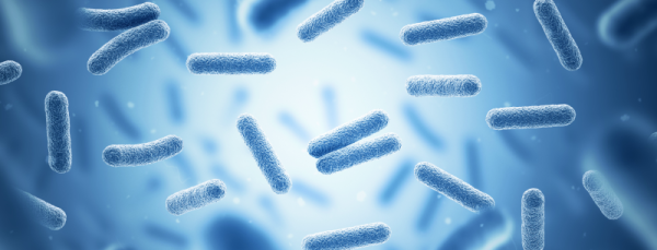 Бактериородопсин – что за монстр этот ретиноид