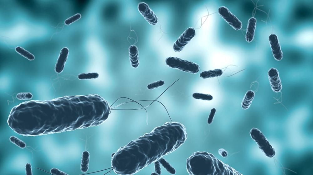 Halobacterium salinarum как источник биомолекул: перспективы для косметики, медицины и технологий
