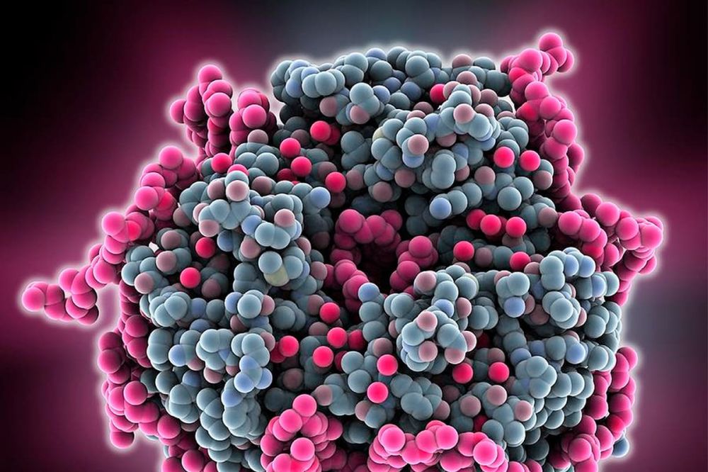 Биомолекулярная косметика против гормональных мазей: сравнение подходов к уходу за воспалённой кожей