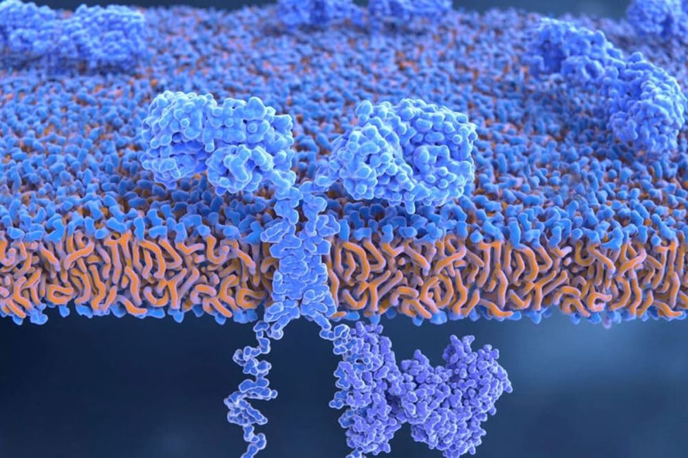 Каротиноиды из галобактерий как природные УФ-фильтры